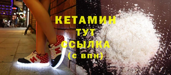 стаф Осинники