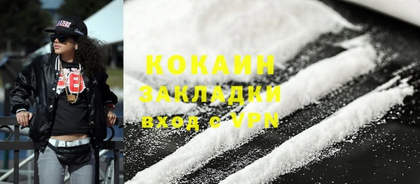 стаф Осинники