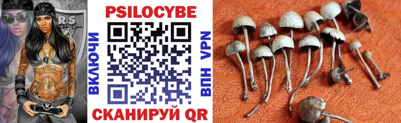 наркота  Пущино  Галлюциногенные грибы Cubensis 